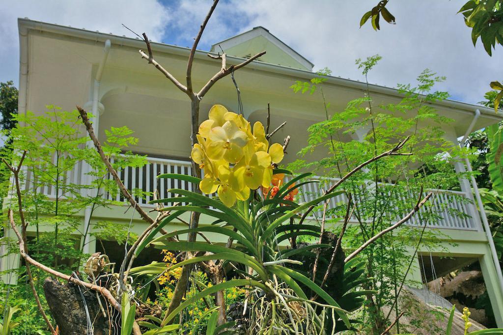 Petit Baie Chalets Au Cap Bagian luar foto